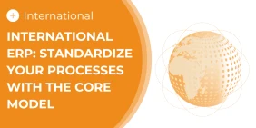 Visual International Article Core Model