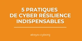 vignette-infographie-5-pratiques-cyber-resilience-indispensables